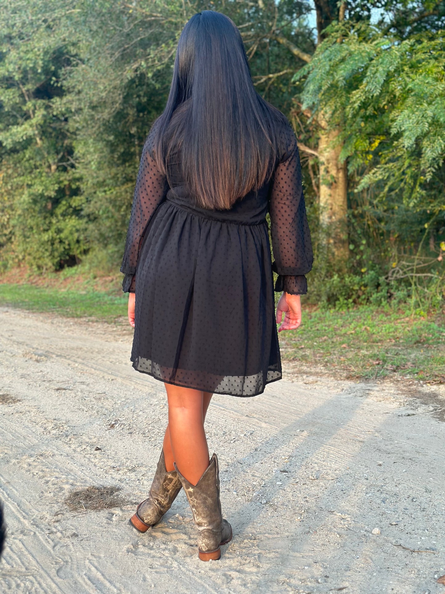 Swiss Dot Long Sleeve V-Neck Dress