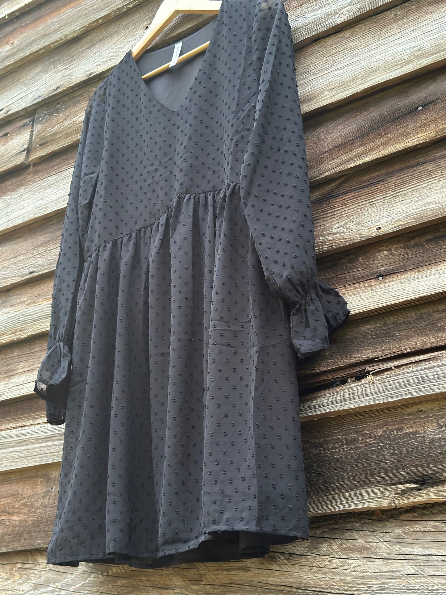 Swiss Dot Long Sleeve V-Neck Dress