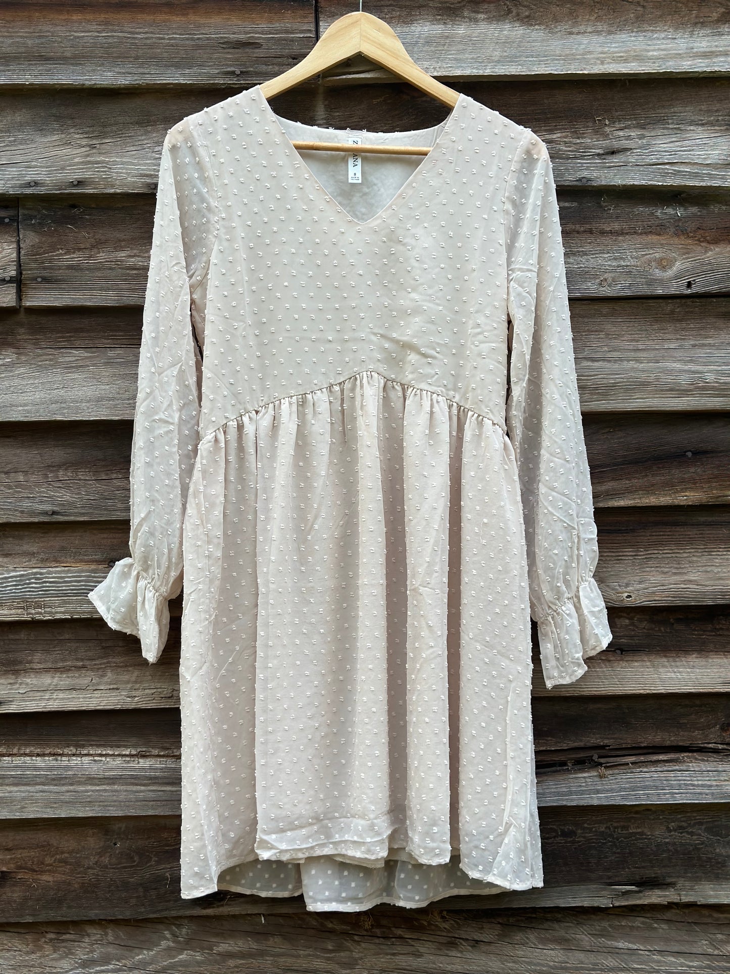 Swiss Dot Long Sleeve V-Neck Dress