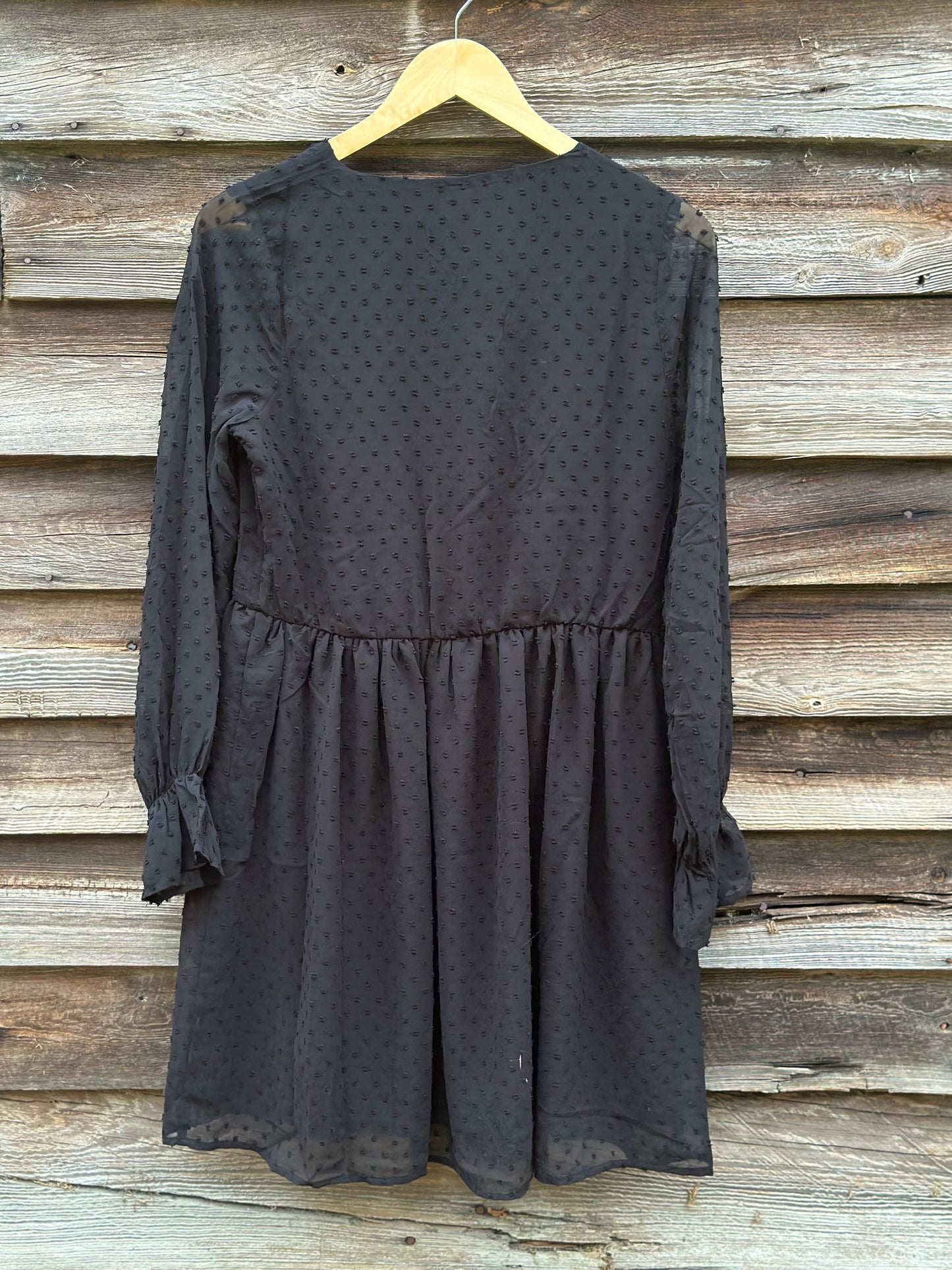 Swiss Dot Long Sleeve V-Neck Dress