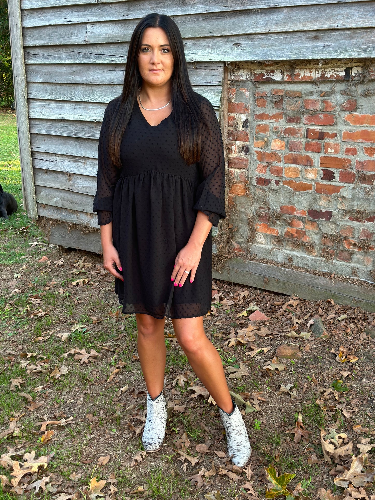 Swiss Dot Long Sleeve V-Neck Dress