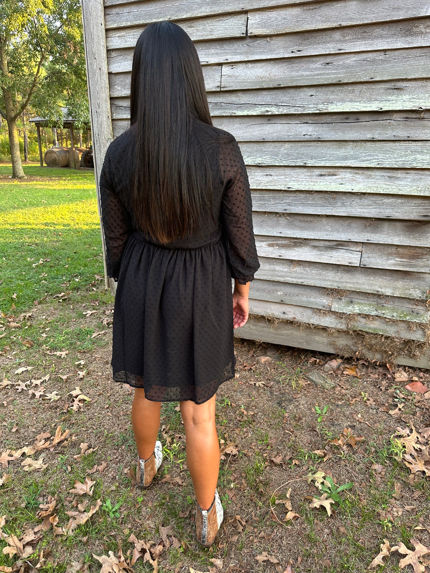 Swiss Dot Long Sleeve V-Neck Dress