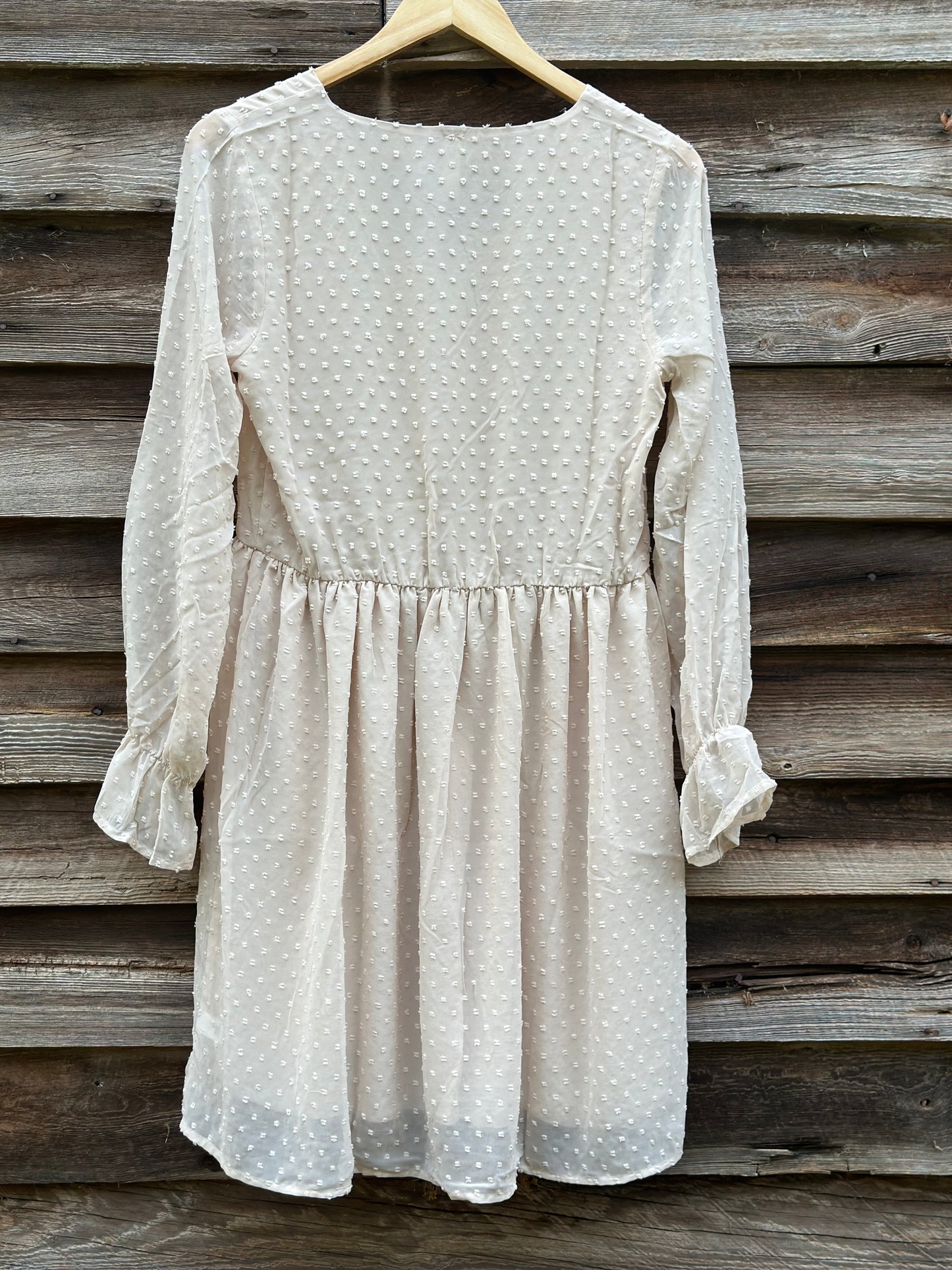 Swiss Dot Long Sleeve V-Neck Dress