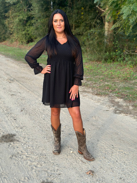 Swiss Dot Long Sleeve V-Neck Dress